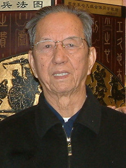 杨辛